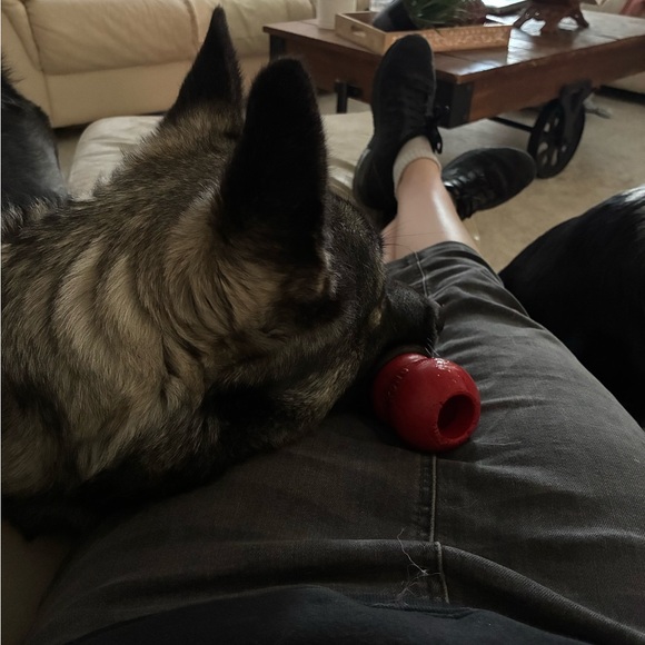 Meet your Posher, Lauren - Picture 11 of 12